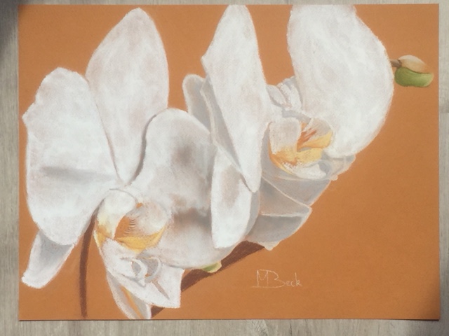 Tekening Orchidee 22 mei'18